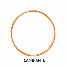 Cambiante Logo